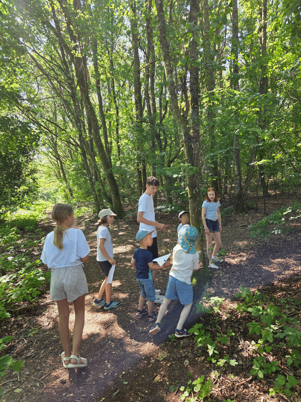 Das Bild zeigt 7 Kinder im Wald bei einer Schnitzeljagd