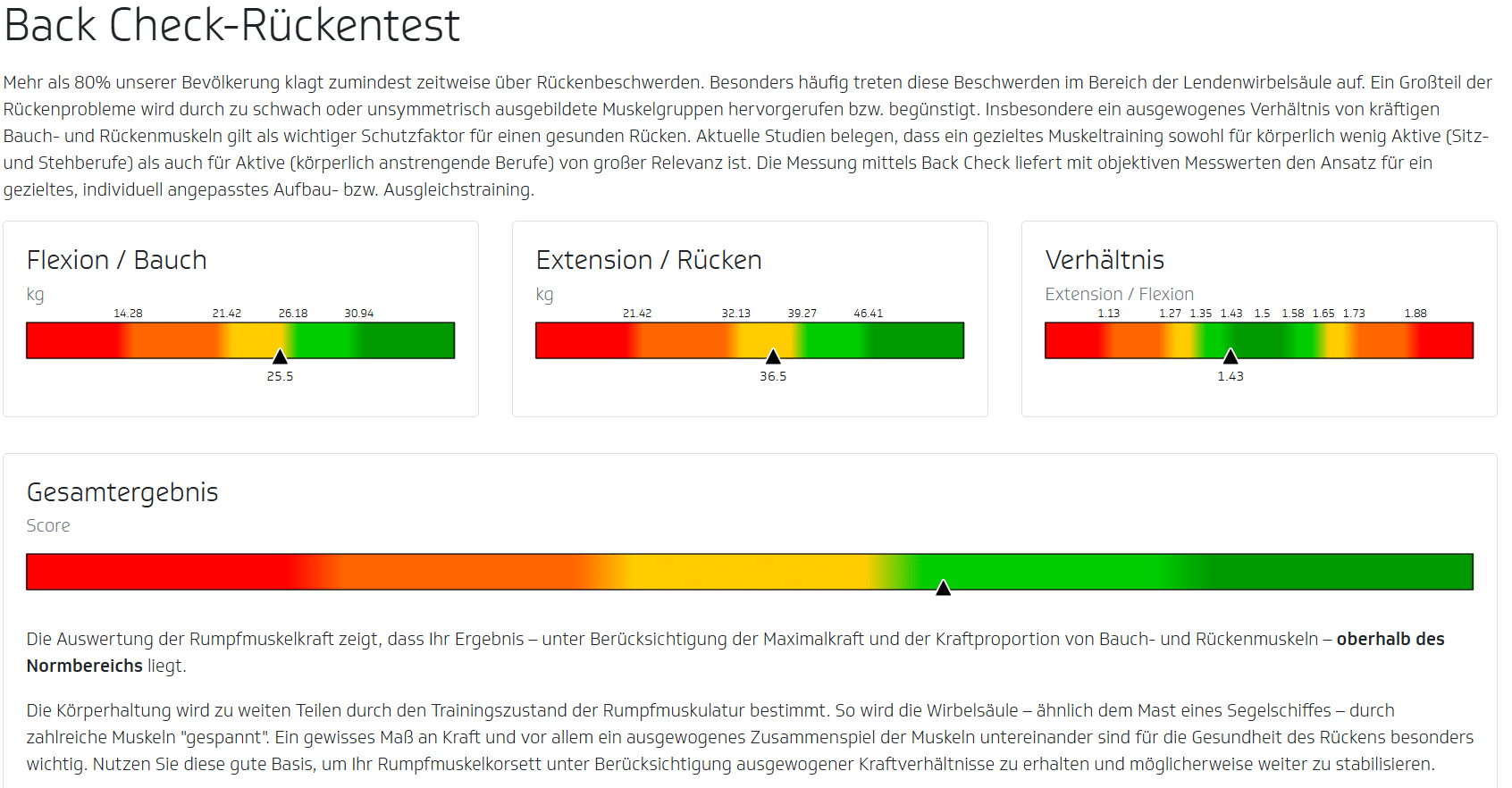 Ausschnitt aus einer Rückenanalyse